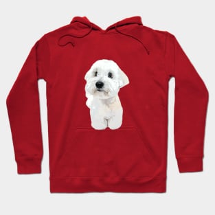 Coton de tulear dog teddy Hoodie